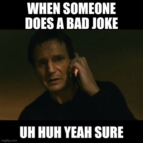 Liam Neeson Taken | WHEN SOMEONE DOES A BAD JOKE; UH HUH YEAH SURE | image tagged in memes,liam neeson taken | made w/ Imgflip meme maker