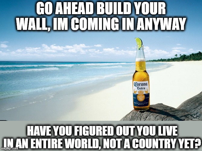 We live in a world not a country | GO AHEAD BUILD YOUR WALL, IM COMING IN ANYWAY; HAVE YOU FIGURED OUT YOU LIVE IN AN ENTIRE WORLD, NOT A COUNTRY YET? | image tagged in memes,politics,maga,global warming,white nationalism,donald trump is an idiot | made w/ Imgflip meme maker