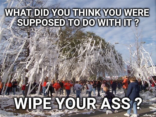 Toilet Paper Wonderland | WHAT DID YOU THINK YOU WERE 
SUPPOSED TO DO WITH IT ? WIPE YOUR ASS ? | image tagged in toilet paper wonderland,toilet paper,festive trees,hoarding,panic buying,what shortage | made w/ Imgflip meme maker