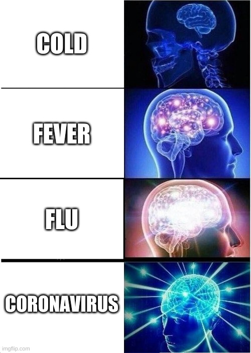 Expanding Brain Meme | COLD; FEVER; FLU; CORONAVIRUS | image tagged in memes,expanding brain | made w/ Imgflip meme maker