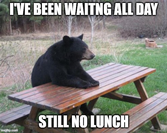 Bad Luck Bear | I'VE BEEN WAITNG ALL DAY; STILL NO LUNCH | image tagged in memes,bad luck bear | made w/ Imgflip meme maker