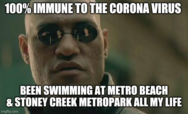 Matrix Morpheus | 100% IMMUNE TO THE CORONA VIRUS; BEEN SWIMMING AT METRO BEACH & STONEY CREEK METROPARK ALL MY LIFE | image tagged in memes,matrix morpheus | made w/ Imgflip meme maker