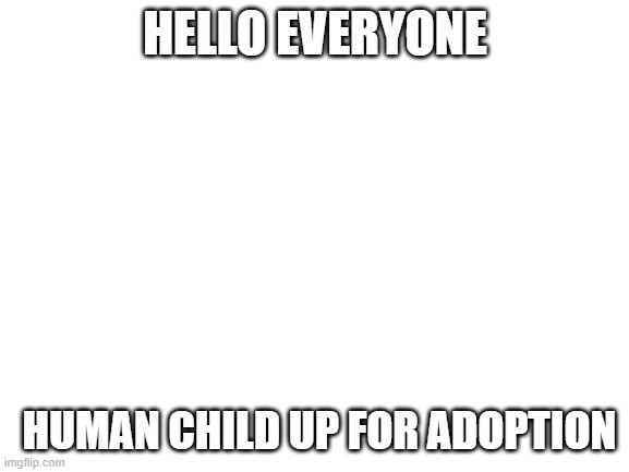 Blank White Template | HELLO EVERYONE; HUMAN CHILD UP FOR ADOPTION | image tagged in blank white template | made w/ Imgflip meme maker
