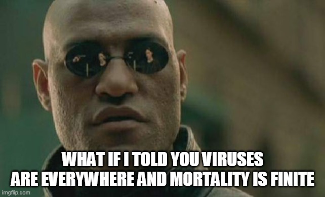 Matrix Morpheus Meme | WHAT IF I TOLD YOU VIRUSES ARE EVERYWHERE AND MORTALITY IS FINITE | image tagged in memes,matrix morpheus | made w/ Imgflip meme maker
