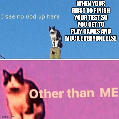 Hail pole cat | WHEN YOUR FIRST TO FINISH YOUR TEST SO YOU GET TO PLAY GAMES AND MOCK EVERYONE ELSE | image tagged in hail pole cat | made w/ Imgflip meme maker