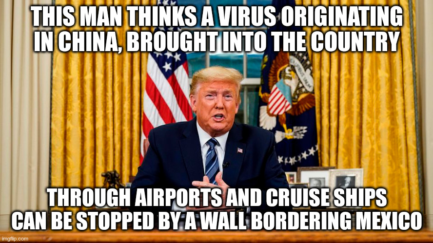 Well, that's some kind of stupid | THIS MAN THINKS A VIRUS ORIGINATING IN CHINA, BROUGHT INTO THE COUNTRY; THROUGH AIRPORTS AND CRUISE SHIPS CAN BE STOPPED BY A WALL BORDERING MEXICO | image tagged in trump,humor,coronavirus,border wall,republican talking points | made w/ Imgflip meme maker