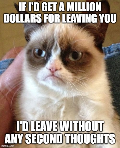 Grumpy Cat | IF I'D GET A MILLION DOLLARS FOR LEAVING YOU; I'D LEAVE WITHOUT ANY SECOND THOUGHTS | image tagged in memes,grumpy cat | made w/ Imgflip meme maker