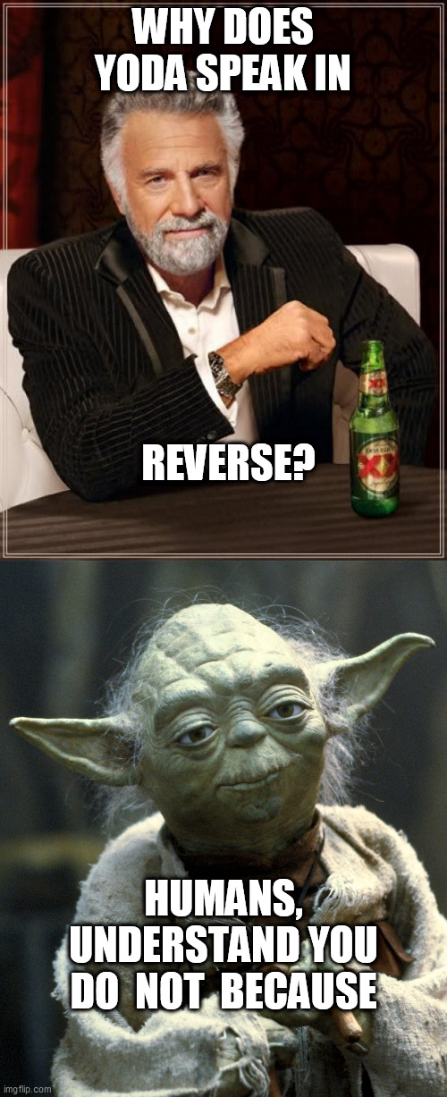 WHY DOES YODA SPEAK IN REVERSE? HUMANS, UNDERSTAND YOU DO  NOT  BECAUSE | image tagged in memes,the most interesting man in the world | made w/ Imgflip meme maker