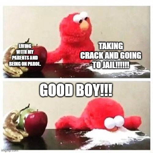 elmo cocaine | TAKING CRACK AND GOING TO JAIL!!!!!! LIVING WITH MY PARENTS AND BEING ON PAROL. GOOD BOY!!! | image tagged in elmo cocaine | made w/ Imgflip meme maker