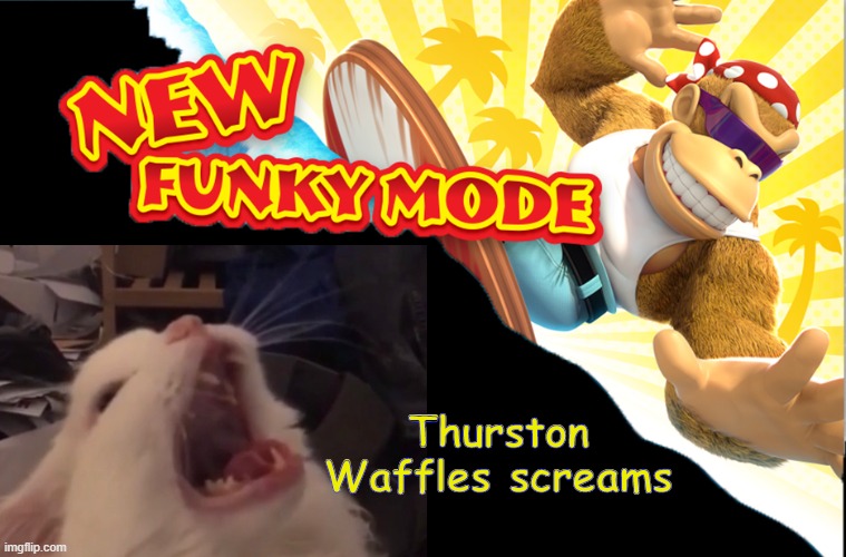 Thurston Waffles + New Funky Mode meme | Thurston Waffles screams | image tagged in cats | made w/ Imgflip meme maker