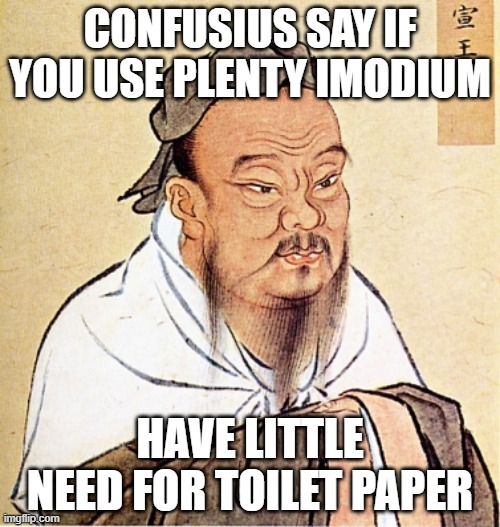 wise confusius | CONFUSIUS SAY IF YOU USE PLENTY IMODIUM; HAVE LITTLE NEED FOR TOILET PAPER | image tagged in wise confusius | made w/ Imgflip meme maker