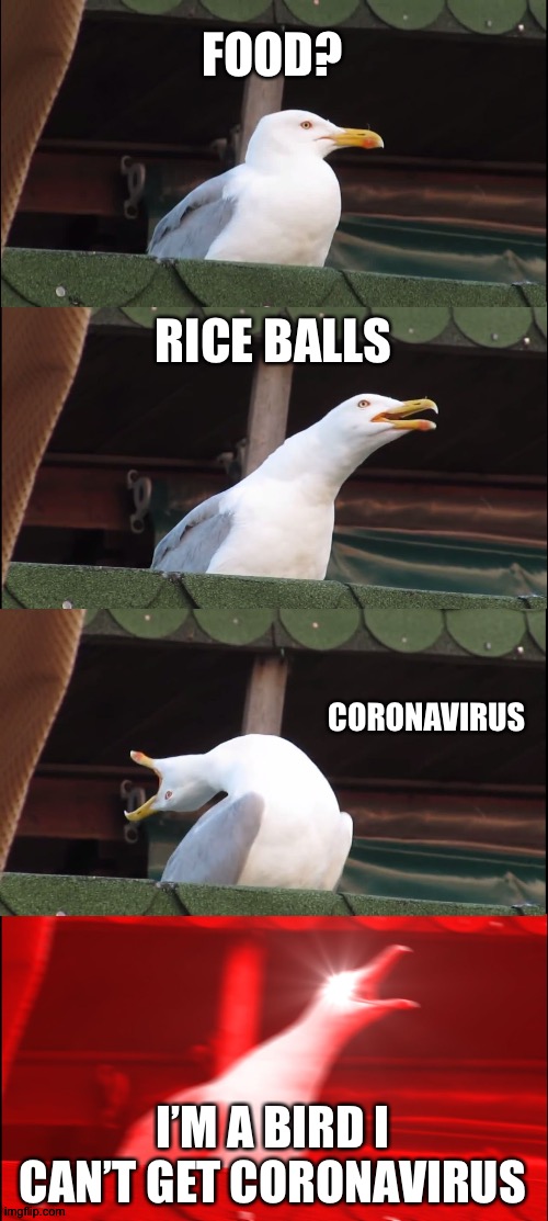 Inhaling Seagull | FOOD? RICE BALLS; CORONAVIRUS; I’M A BIRD I CAN’T GET CORONAVIRUS | image tagged in memes,inhaling seagull | made w/ Imgflip meme maker