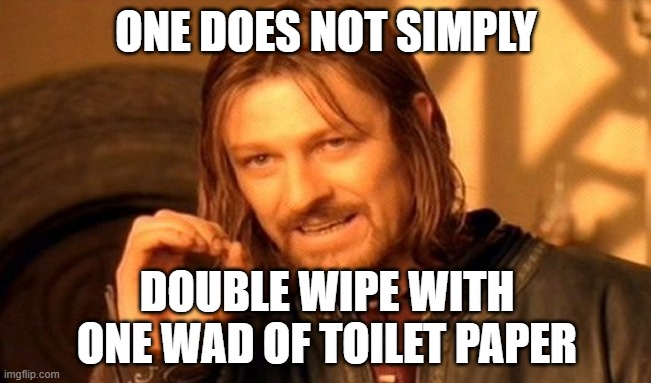 One Does Not Simply Meme | ONE DOES NOT SIMPLY; DOUBLE WIPE WITH ONE WAD OF TOILET PAPER | image tagged in memes,one does not simply | made w/ Imgflip meme maker