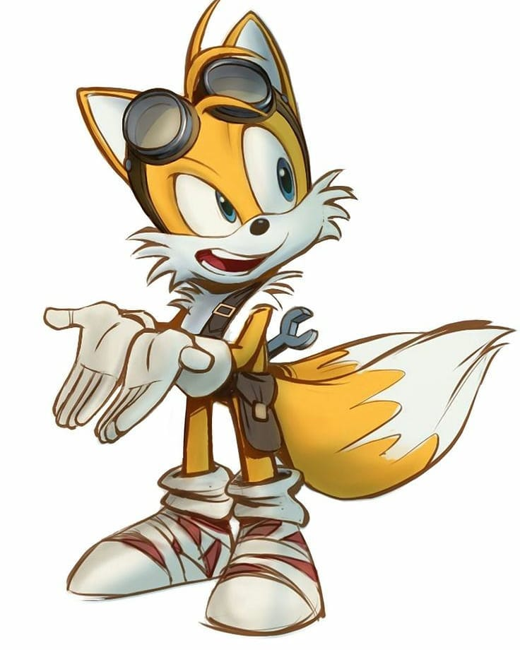 High Quality Angry/Confused Tails Blank Meme Template
