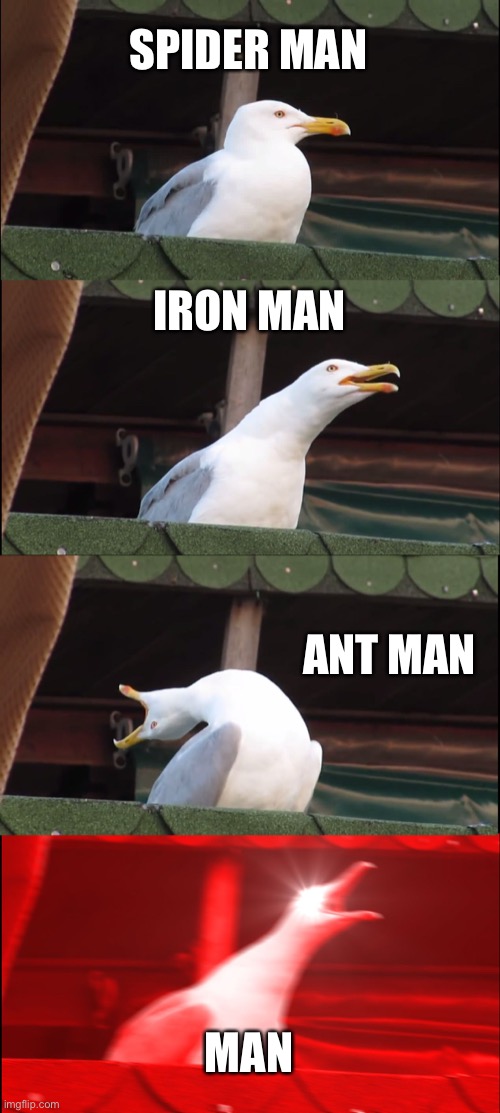 Inhaling Seagull Meme | SPIDER MAN; IRON MAN; ANT MAN; MAN | image tagged in memes,inhaling seagull | made w/ Imgflip meme maker