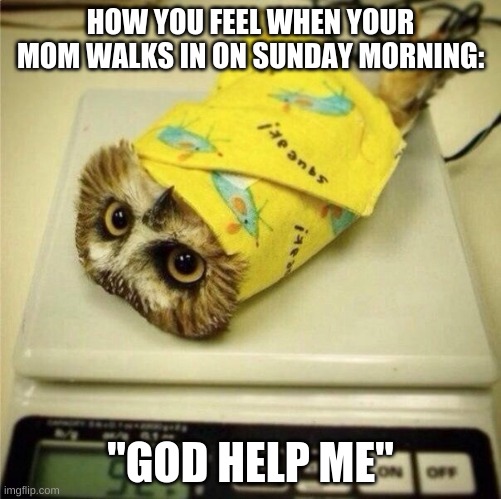 blanket man | HOW YOU FEEL WHEN YOUR MOM WALKS IN ON SUNDAY MORNING:; "GOD HELP ME" | image tagged in funny memes | made w/ Imgflip meme maker