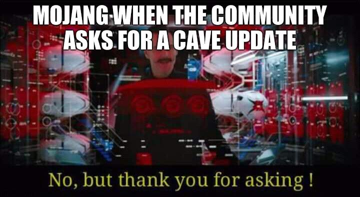 No, but thank you for asking | MOJANG WHEN THE COMMUNITY ASKS FOR A CAVE UPDATE | image tagged in no but thank you for asking | made w/ Imgflip meme maker