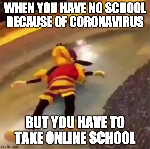WHEN YOU HAVE NO SCHOOL BECAUSE OF CORONAVIRUS; BUT YOU HAVE TO TAKE ONLINE SCHOOL | image tagged in memes | made w/ Imgflip meme maker