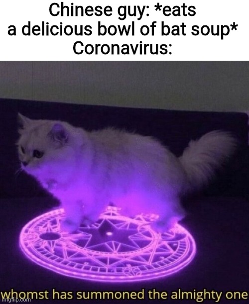 Whomst has summoned the deadly one? | Chinese guy: *eats a delicious bowl of bat soup*
Coronavirus: | image tagged in whomst has summoned the almighty one,coronavirus,chinese food,kung flu,bat soup | made w/ Imgflip meme maker