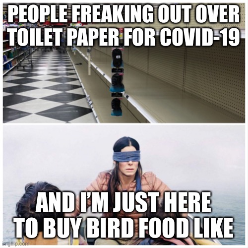 Coronavirus Bird Box | PEOPLE FREAKING OUT OVER TOILET PAPER FOR COVID-19; AND I’M JUST HERE TO BUY BIRD FOOD LIKE | image tagged in coronavirus bird box,coronavirus | made w/ Imgflip meme maker