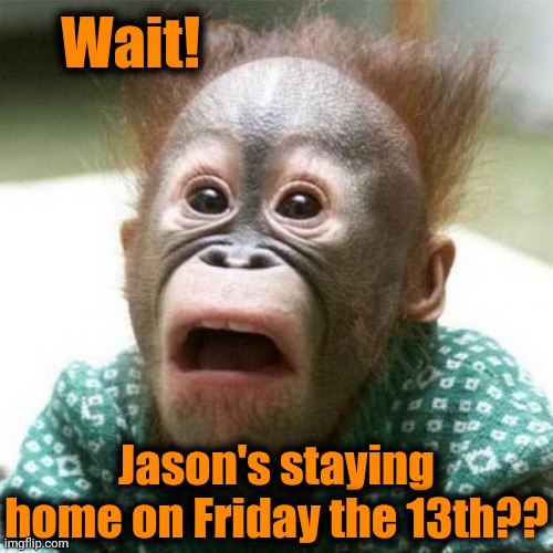 Shocked Monkey | Wait! Jason's staying home on Friday the 13th?? | image tagged in shocked monkey | made w/ Imgflip meme maker