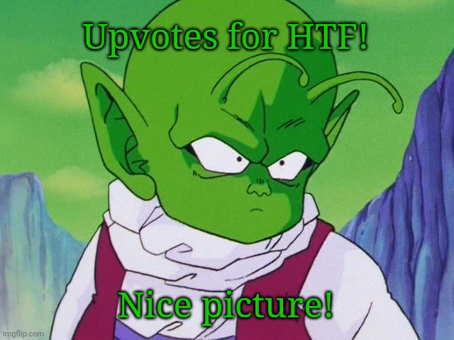 Quoter Dende (DBZ) | Upvotes for HTF! Nice picture! | image tagged in quoter dende dbz | made w/ Imgflip meme maker