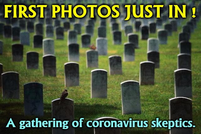 They calmed down over COVID-19, and now wow, are they calm! | FIRST PHOTOS JUST IN ! A gathering of coronavirus skeptics. | image tagged in graveyard cemetary,covid-19,coronavirus,skeptical,stupid,dead | made w/ Imgflip meme maker
