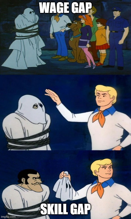 Scooby Doo The Ghost | WAGE GAP; SKILL GAP | image tagged in scooby doo the ghost | made w/ Imgflip meme maker