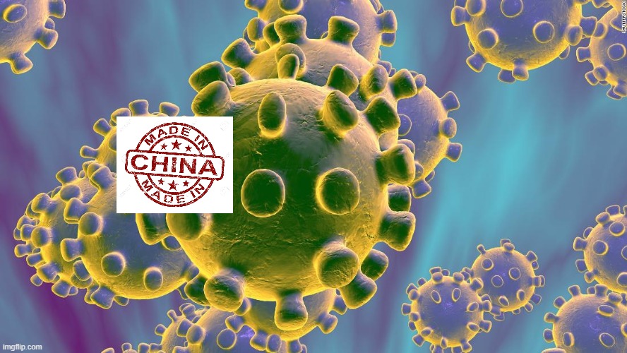 Made in China | image tagged in coronavirus,made in china | made w/ Imgflip meme maker