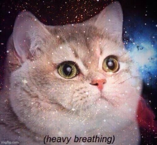 heavy breathing cat in space | image tagged in heavy breathing cat in space | made w/ Imgflip meme maker