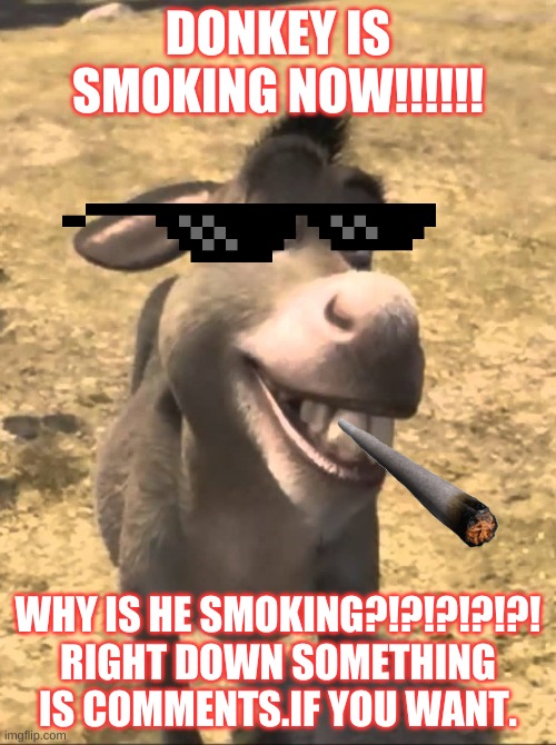 Shrek Donkey Please Boss | DONKEY IS SMOKING NOW!!!!!! WHY IS HE SMOKING?!?!?!?!?!
RIGHT DOWN SOMETHING IS COMMENTS.IF YOU WANT. | image tagged in shrek donkey please boss | made w/ Imgflip meme maker