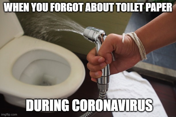 WHEN YOU FORGOT ABOUT TOILET PAPER; DURING CORONAVIRUS | image tagged in good fun,bad times | made w/ Imgflip meme maker