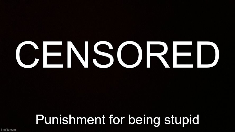 Blank censor | CENSORED Punishment for being stupid | image tagged in blank censor | made w/ Imgflip meme maker