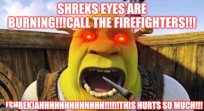 Shrek says | SHREKS EYES ARE BURNING!!!CALL THE FIREFIGHTERS!!! (SHREK)AHHHHHHHHHHHHH!!!!!!THIS HURTS SO MUCH!!! | image tagged in shrek says | made w/ Imgflip meme maker