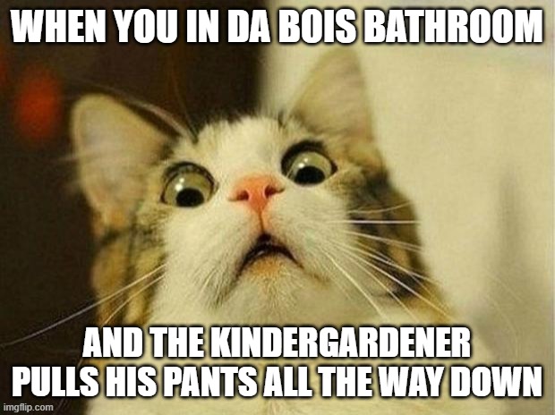 Scared Cat Meme | WHEN YOU IN DA BOIS BATHROOM; AND THE KINDERGARDENER PULLS HIS PANTS ALL THE WAY DOWN | image tagged in memes,scared cat | made w/ Imgflip meme maker