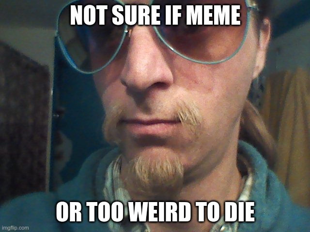 Weirdly self-aware hipster | NOT SURE IF MEME; OR TOO WEIRD TO DIE | image tagged in weirdly self-aware hipster | made w/ Imgflip meme maker