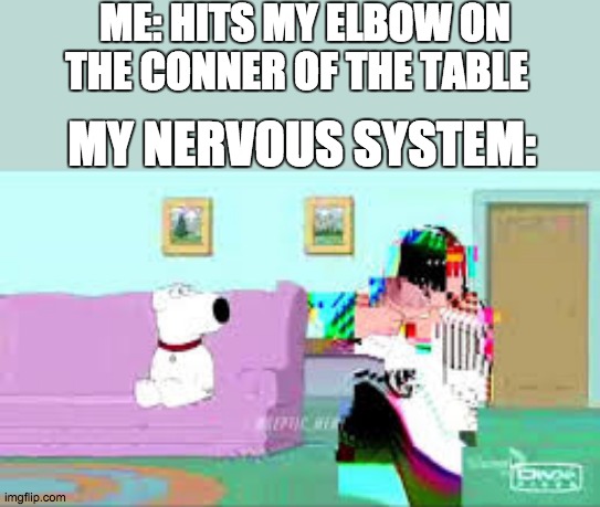 my elbow | ME: HITS MY ELBOW ON THE CONNER OF THE TABLE; MY NERVOUS SYSTEM: | image tagged in memes | made w/ Imgflip meme maker