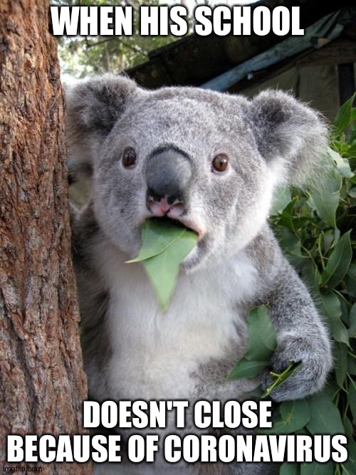 Surprised Koala | WHEN HIS SCHOOL; DOESN'T CLOSE
BECAUSE OF CORONAVIRUS | image tagged in memes,surprised koala | made w/ Imgflip meme maker