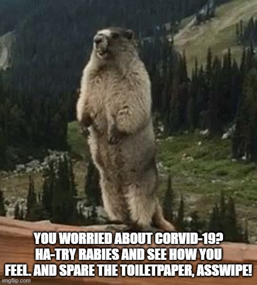 Geico Woodchuck | YOU WORRIED ABOUT CORVID-19? HA-TRY RABIES AND SEE HOW YOU FEEL. AND SPARE THE TOILETPAPER, ASSWIPE! | image tagged in board with life | made w/ Imgflip meme maker