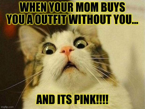 Scared Cat | WHEN YOUR MOM BUYS YOU A OUTFIT WITHOUT YOU... AND ITS PINK!!!! | image tagged in memes,scared cat | made w/ Imgflip meme maker