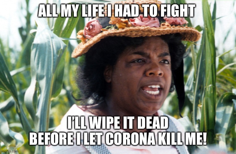 All my life I had to fight | ALL MY LIFE I HAD TO FIGHT; I’LL WIPE IT DEAD BEFORE I LET CORONA KILL ME! | image tagged in all my life i had to fight | made w/ Imgflip meme maker