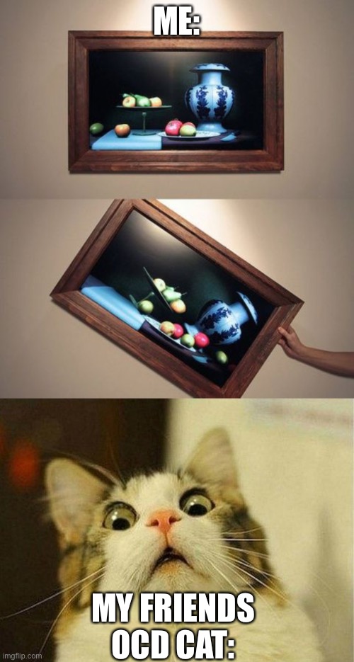 ...it’s a long story | ME:; MY FRIENDS OCD CAT: | image tagged in memes,scared cat | made w/ Imgflip meme maker
