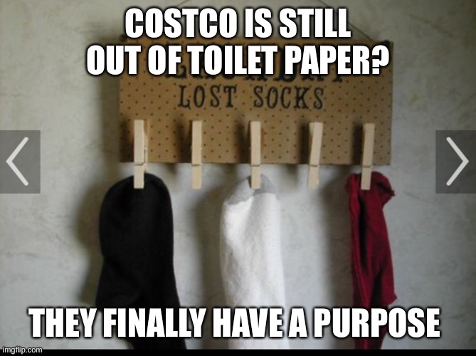 Toilet paper | COSTCO IS STILL OUT OF TOILET PAPER? THEY FINALLY HAVE A PURPOSE | image tagged in corona virus | made w/ Imgflip meme maker