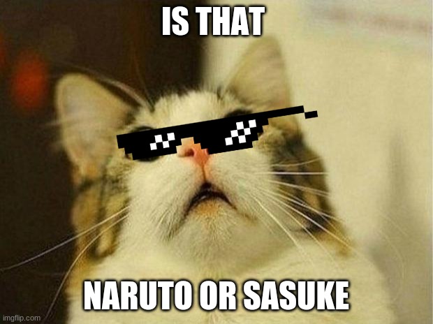 Scared Cat | IS THAT; NARUTO OR SASUKE | image tagged in memes,scared cat | made w/ Imgflip meme maker