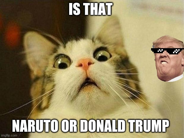 Scared Cat | IS THAT; NARUTO OR DONALD TRUMP | image tagged in memes,scared cat | made w/ Imgflip meme maker