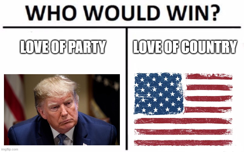 2020 GOP Elections: It's Our Party, Not His | LOVE OF PARTY; LOVE OF COUNTRY | image tagged in memes,who would win,trump,gop,republicans,2020 | made w/ Imgflip meme maker