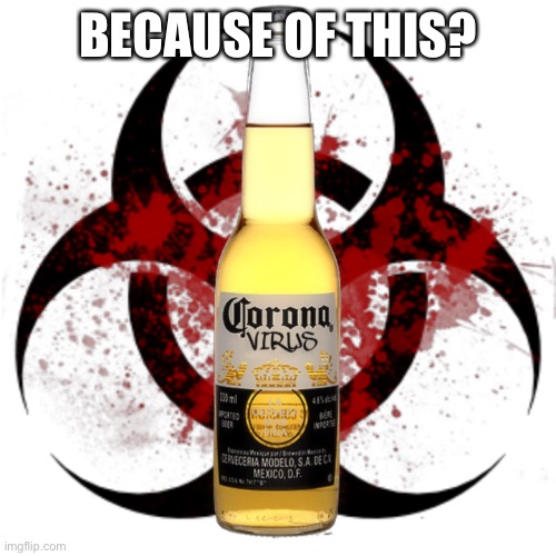 Corona Virus | BECAUSE OF THIS? | image tagged in corona virus | made w/ Imgflip meme maker