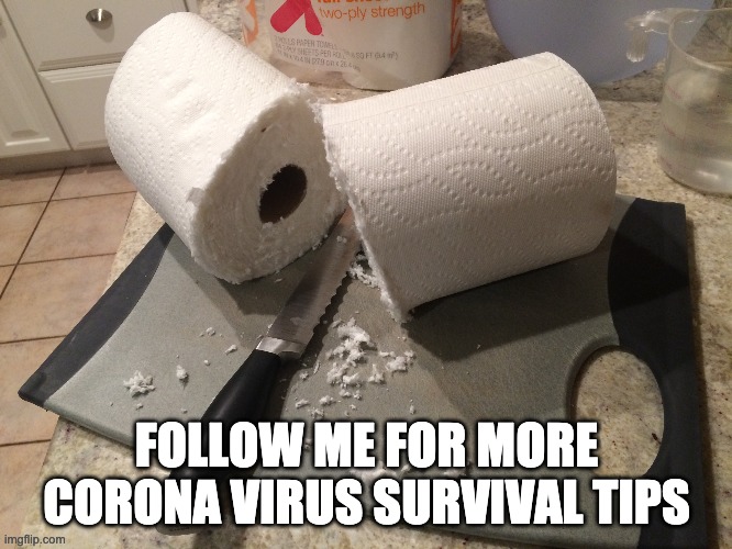 WE WILL SURVIVE! | FOLLOW ME FOR MORE CORONA VIRUS SURVIVAL TIPS | image tagged in coronavirus | made w/ Imgflip meme maker