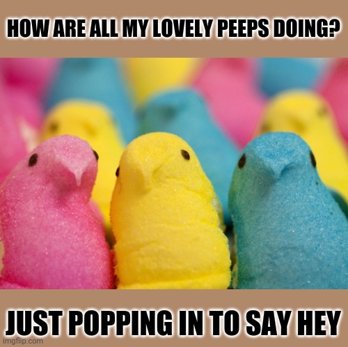 Peeps | HOW ARE ALL MY LOVELY PEEPS DOING? JUST POPPING IN TO SAY HEY | image tagged in peeps | made w/ Imgflip meme maker