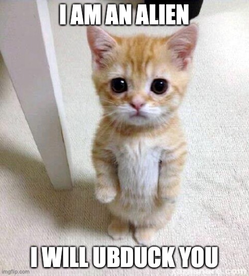 Cute Cat Meme | I AM AN ALIEN; I WILL UBDUCK YOU | image tagged in memes,cute cat | made w/ Imgflip meme maker